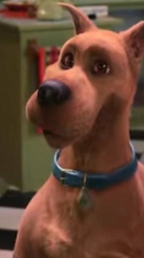 Scooby Doo:Burping and Farting (Happy Halloween) #funnyshorts #scoobydoo2002 #funnyscene 💨🫧🤣😂 🐶🐕🎃🧛