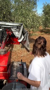 The Fruit-Shaking Machine Americans Use Instead of Climbing Trees | Rzh Gujarati