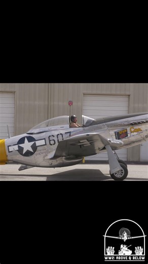 P-51D Mustang start up, taxi, fly by! #ww2 #wwii #history #aviation #p51 #mastersoftheair #airshow