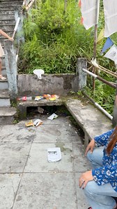 228K views · 10K reactions | Cleanliness is a mindset-a positive habit that keeps the body,mind and environment happy and healthy  | Pavitra Chettri | Facebook