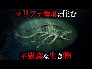 【実在】世界で最も深い海マリアナ海溝に住む不思議な生物4選がヤバすぎた...。【 生き物 最深部 怪物 】