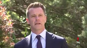 20K views · 57 reactions | They did it for the Opera House and now there are calls to put the future of Circular Quay to a public competition. In the spirit of Jorn Utzon, a little known Sydney architect has delivered his own draft for the Quay with less cars and much more public space. www.7NEWS.com.au #CircularQuay #7NEWS | 7NEWS Sydney | Facebook