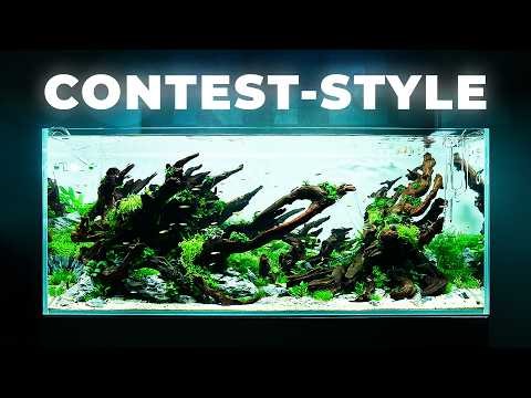 Building a CONTEST-STYLE Aquascape | How to Achieve Depth in a Planted Tank