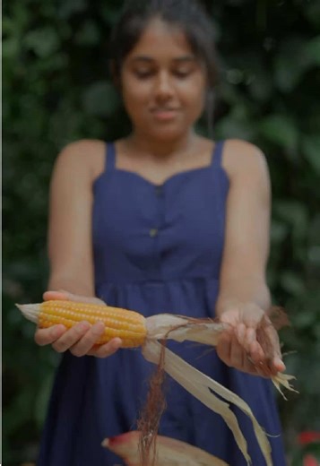 රසට සැරට මැජික් චීස් කෝන් 😋 Spicy Magic Cheese Corn 😋 Ingredients - Corn Cheese Chilli Powder Salt Pepper Lemon #magiccorn #cornrecipe #traditionaltastestory #cooking #villagecooking