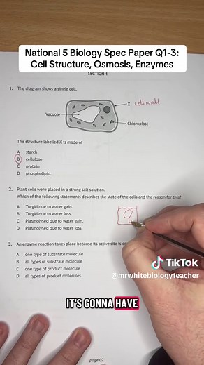 National 5 Biology: Understanding Cell Structure and Enzymes