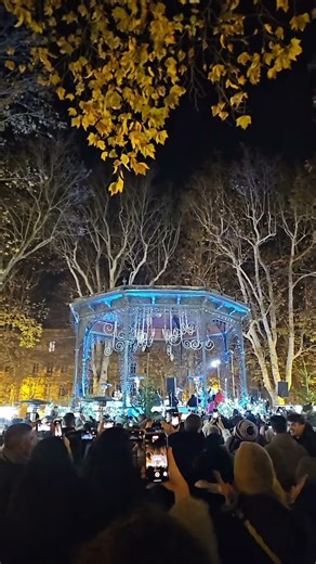 15 years of the most beautiful lights in our city! ✨🎄