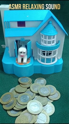 puppy House/Piggy Bank coin/Bank indoor/Outdoor Dog House/piggy House