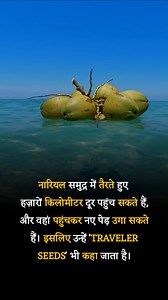 Coconut Facts #NatureWonder #TravelerSeeds | Anmol TV