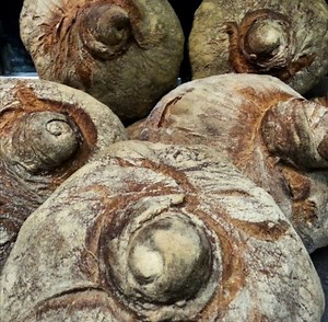 スペインのパンってどんなパン？自家製ガリシアパンの作り方／スペイン料理レシピ | TAKEBLOG