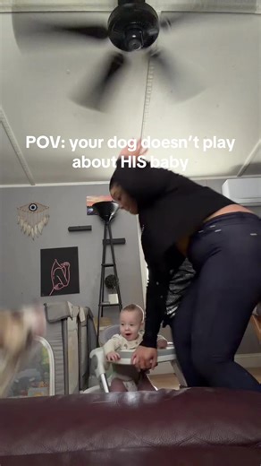 A Boy and His Guard Dog: A Heartwarming Bond