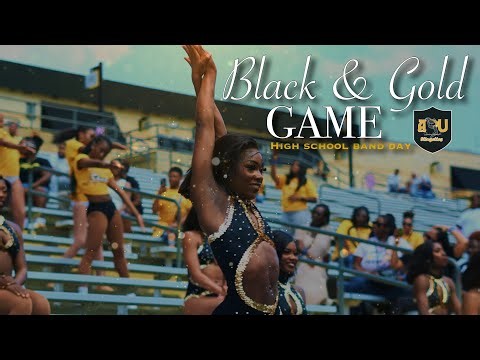 ASU Sensational Stingettes | 2025 Black and Gold Game