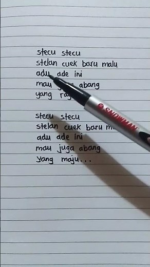 stecu stecu - lyrics