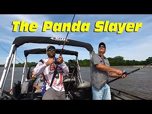 Tangling with Catfish on the Mississippi River, Bumping for River Panda's