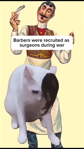 Facts about Victorian Surgery You probably know #fyp #worldhistory #historylovers #fblifestyle | Simply Stated History