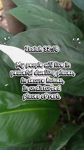 11 reactions | Isaiah 32:18 | hannah | Facebook