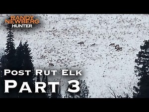 2018 Montana Post Rut Elk Hunt with Randy Newberg (Part 3)
