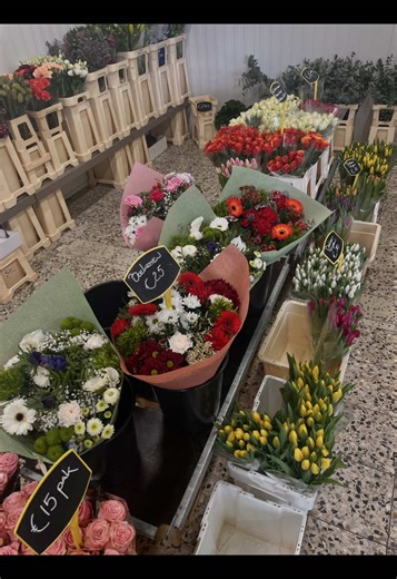@Bloemennova-Official #flowers #bloemen #gent #spring #fyp