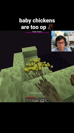 Minecraft Baby Chickens Moment