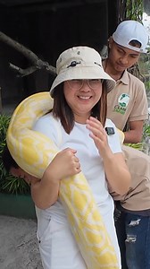 Burmese Python ng Clark Safari #burmesepythons #snakesph #ClarkSafari JTG Kamandag Mocca Puno | Boss LAR Channel
