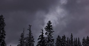 Seattle weather updates: Bomb cyclone, windstorm, power outages hit WA