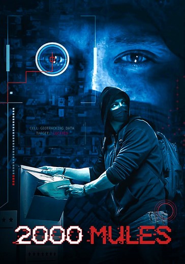 2000 Mules streaming: where to watch movie online?