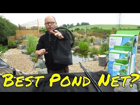 The Best Pond Net: Which One is Right For You?