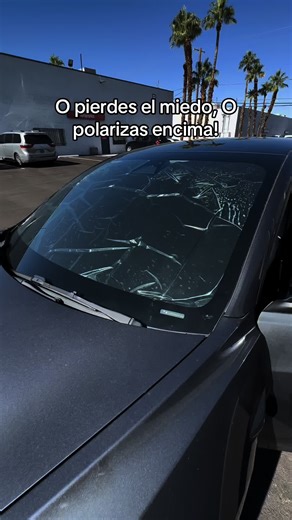 O pierdes el miedo, O polarizas encima! #polarizado #tintlife #windowfilm ##2026 #eltinter