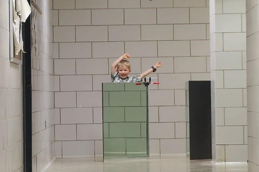 Invisibility cloaks are real and surprisingly cheap