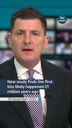 Researchers from Oxford University and the Florida Institute of Technology have found kissing first began with the primate ancestors of great apes around 20 million years ago #itvnews #kissing #firstkiss #primates #monkeys | ITV News
