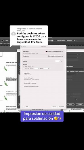 Configuración de la impresora Epson L1250 para sublimación