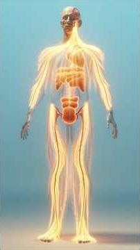 What Happens If You Eat Mango Every Day? #health #ai