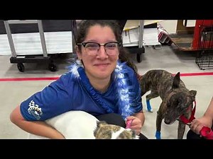 UFLI CHAMPIONSHIPS 2025