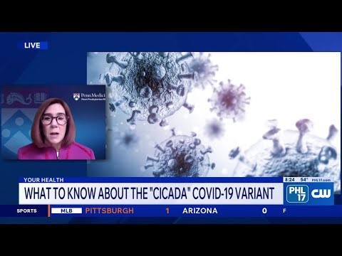 What to know about the new “Cicada” COVID variant and the spread of Hantavirus | PHL17 Morning News