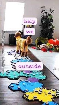 Pharaby is a Pup with a Plan 🥰 with #ASMR carrot crunches 😁