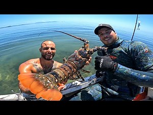 Crayfish Diving & Reef Fishing In Cairns, Far North Queensland