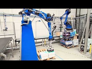 Mixed Case Palletizing, Depalletizing, and AutoStore Induction