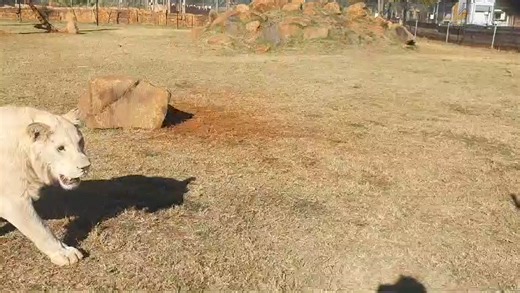 20K views | Rustenburg Herald on Reels | Facebook