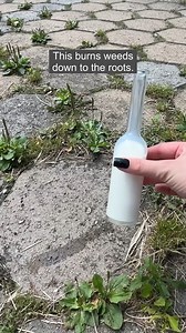 Garden clean-up mode on 🌿🔥 | Clever Life Hacks