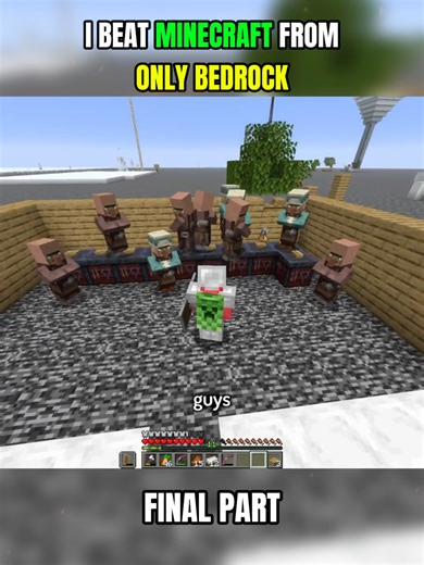 I Beat Minecraft Using Only Bedrock