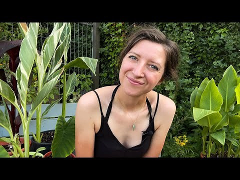 July Allotment Garden Tour 2021/ Homegrown Garden