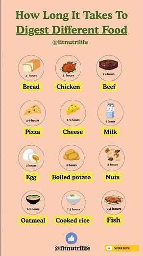 “How Long Does Food Take to Digest? ⏰ | Fast vs Slow Digestion Foods Explained!