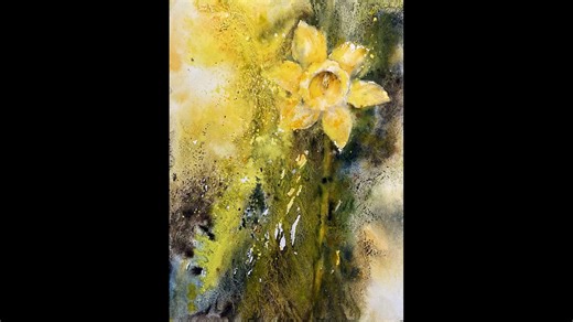 Daffodil.