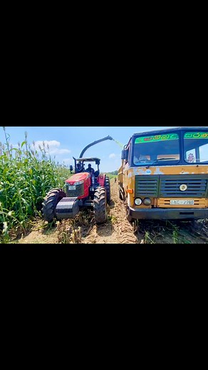 Sorghum Harvesting Time. #farmlife #machinery #harvest | Lahiru Withanage