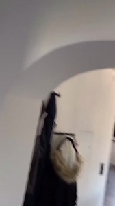 3.8M views · 40K reactions | your life and gaming room are very beautiful, friend... #mypcsetup #computerscience #modder #computers #pcgamer#pc #pcsetup#pcbuilding #watercoolingcustom#setupgamerstyle #gamingpc #gamingpcbuilding #gamingpcsetup #ssd #gamingpcs #gamingpcbuilds #pcgaming #pcgamingsetup #pcgamingsetups | ID-techno | Facebook