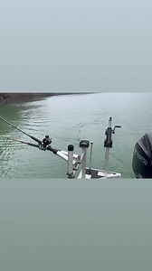 Dale Hollow Dave on Reels