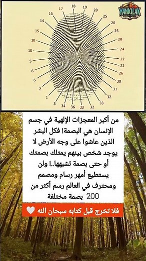 سر بصمة الإصبع الذي حيّر العلماء | معجزة إلهية في جسم الإنسان لن تصدقها #هل_تعلم