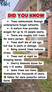 Tree Facts That Feel Unreal! #facts | Devlop Bro 2.0