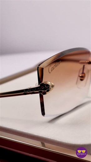 Cartier Panthers Like You’ve NEVER SEEN Before | 1 OF 1 Cartier Rimless Panthers