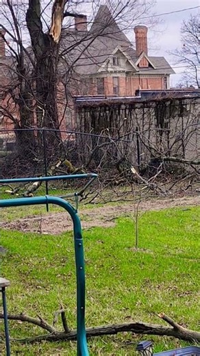 Apocalypse type storms making trees crash down! 🌳☄️💥