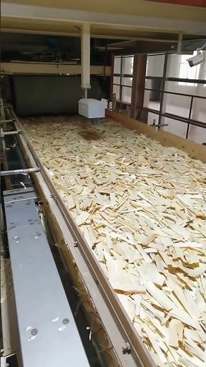 The production process of OSB board#osb #particleboard #wood #timber #machine
